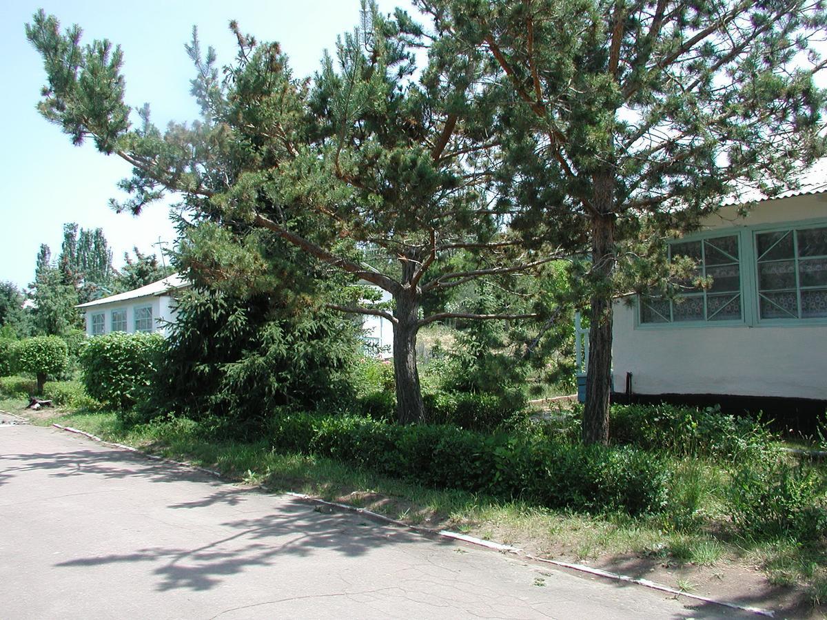 Legenda Health Resort Kaji-Say Extérieur photo